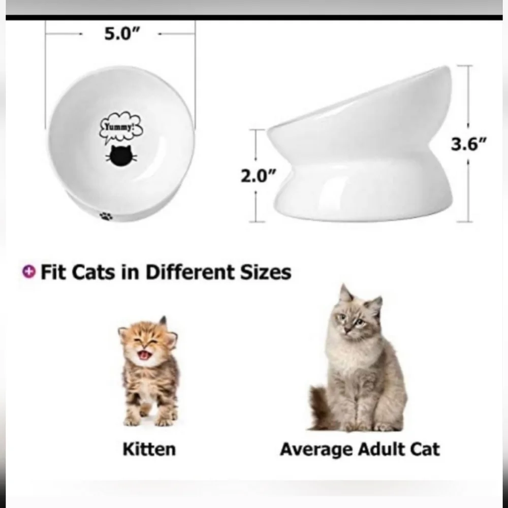 2pack White Cat Bowls - Minimalistic Inclined Bowls in Pristine Condition